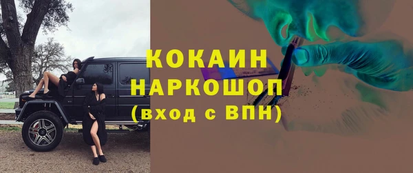 прущие грибы Армянск