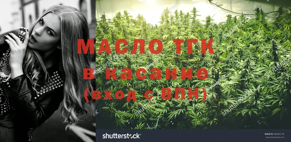 прущие грибы Армянск