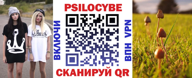 Галлюциногенные грибы мицелий  Петрозаводск 